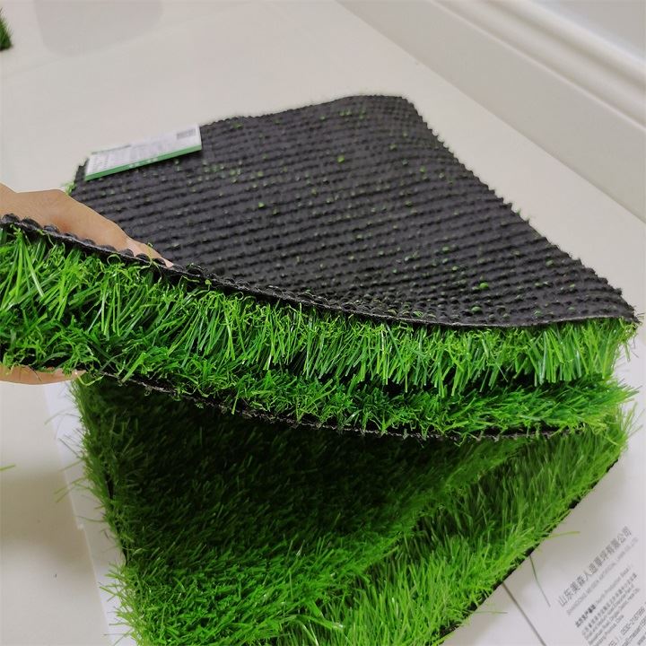 The indoor and outdoor tennis grass