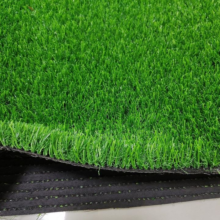 Sports grass