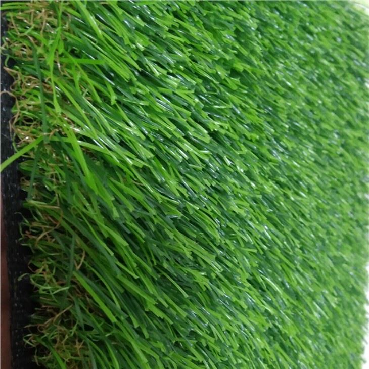  Synthetic Lawn