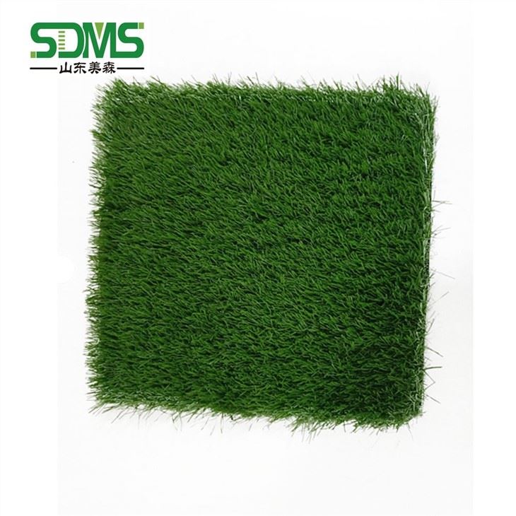 landcape grass1ll